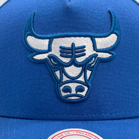 Mitchell & Ness Chicago Bulls Pro Pinch Regal Royal Blue OSFM