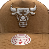 Mitchell & Ness Chicago Bulls Pro Pinch Damaged Brown OSFM