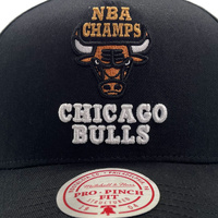 Mitchell & Ness Chicago Bulls Pro Pinch Back To Back Black OSFM