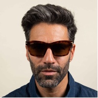 Serengeti Winona SS528005 Shiny Classic Havana / Drivers Polarised Photochromic Lenses