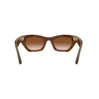 Ray-Ban x Meta (Gen 3) Zena RW4015 690513-49 Havana / Brown Gradient Lenses