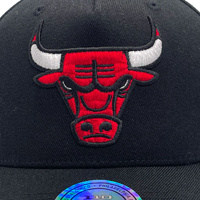 Mitchell & Ness Chicago Bulls Pro Pinch Evergreen Black OSFM