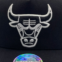 Mitchell & Ness Chicago Bulls Pro Pinch Evergreen White Logo Black OSFM