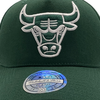 Mitchell & Ness Chicago Bulls Flexfit 110 Core Dark Green OSFM