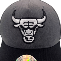 Mitchell & Ness Chicago Bulls Flexfit 110 Pinch Charcoal/Black OSFM