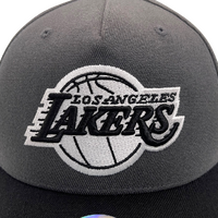 Mitchell & Ness Los Angeles Lakers Flexfit 110 Pinch Charcoal/Black OSFM