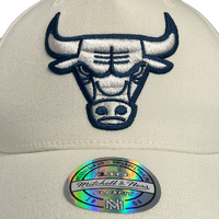Mitchell & Ness Chicago Bulls Flexfit 110 Core White Cream/Teal OSFM
