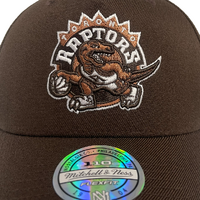 Mitchell & Ness Toronto Raptors Flexfit 110 Core Brown OSFM