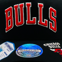 Mitchell & Ness Chicago Bulls Flexfit 110 Double Up Black OSFM
