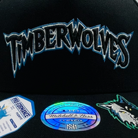 Mitchell & Ness Minnesota Timberwolves Flexfit 110 Double Up Black OSFM