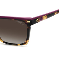 Carrera 3056/S MFX LA 55 Havana Plum / Brown Gradient Polarised Lenses
