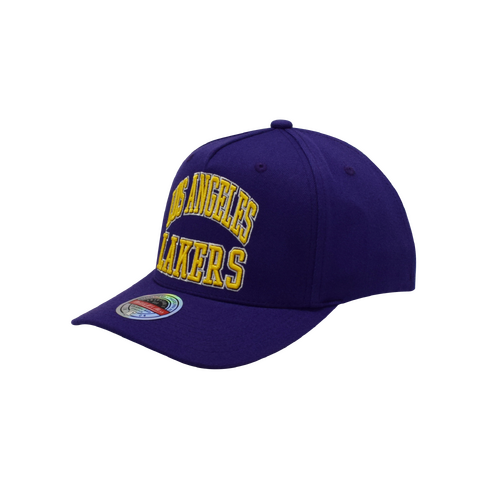 Mitchell & Ness Los Angeles Lakers NBA Zone Purple OSFM MNLL21012H