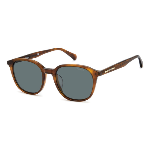 Polaroid PLD CN 0096/F/S 09Q UC 53 Brown / Green Polarised Lenses