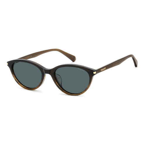 Polaroid PLD CN 0115/F/S 086 UC 53 Havana / Green Polarised Lenses