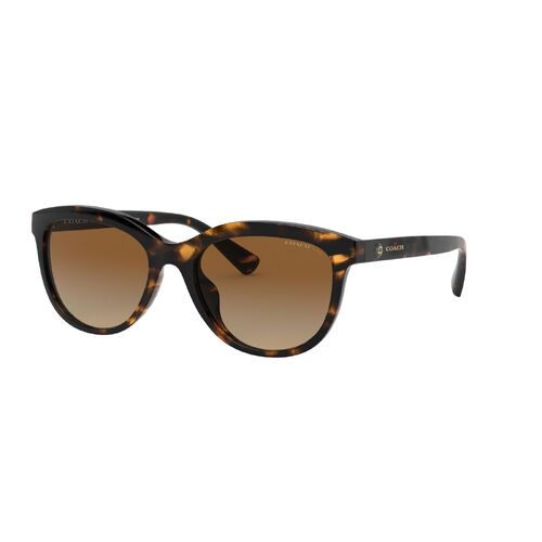 Coach HC8285U 5120T5-56 Dark Tortoise / Brown Gradient Polarised Lenses