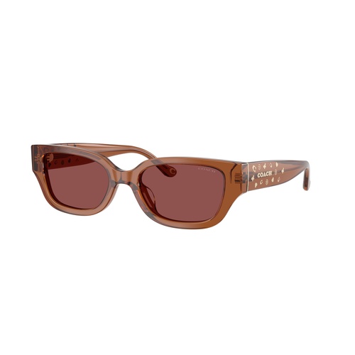 Coach CBZ52 HC8439U 581175-53 Transparent Brown / Wine Solid Lenses