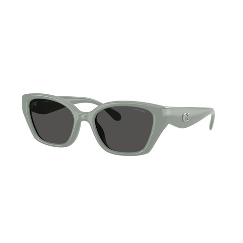 Coach CBY91 HC8434U 592487-53 Industrial Grey / Grey Solid Lenses