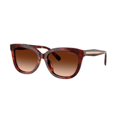 Coach CDP53 HC8453U 593874-56 Walnut Tortoise / Brown Gradient Lenses