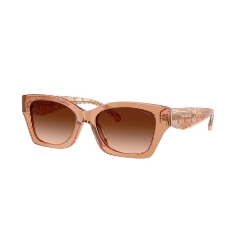 Coach CDP49 HC8451U 593774-54 Transparent Brown / Brown Gradient Lenses