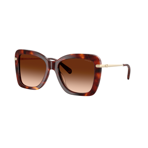 Coach CFU03 HC8461U 593874-54 Walnut Tortoise / Brown Gradient Lenses