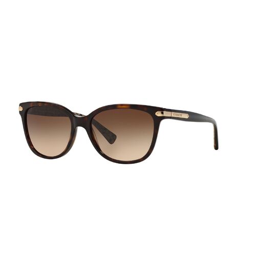 Coach HC8132 529113-57 Dark Tortoise / Dark Brown Gradient Lenses