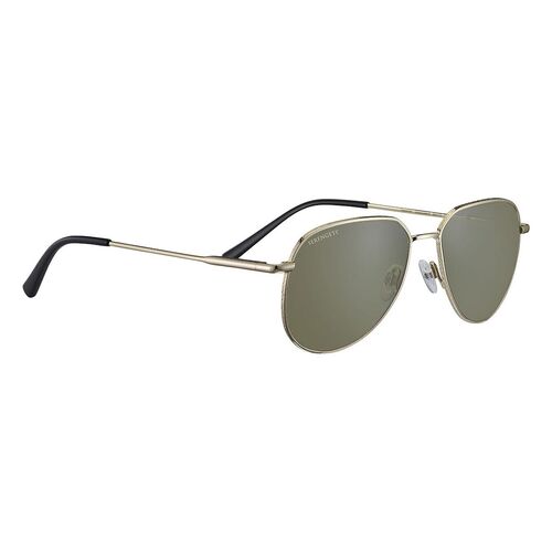 Serengeti Haywood SS543003 Gold / 555nm Polarised Lenses