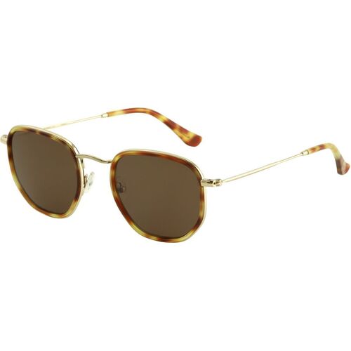 Bask Eyewear Saint 04-0820 Honey Tortoise / Brown Polarised Lenses