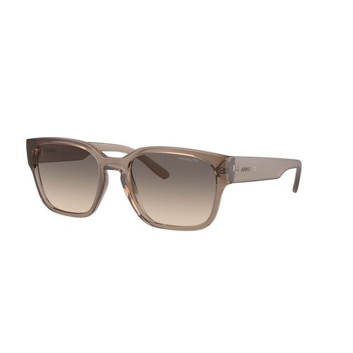 Arnette Hamie AN4325 290613-54 Transparent Tabacco / Gradient Brown Lenses