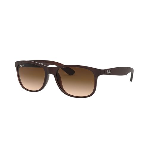 Ray-Ban RB4202 607313-55 Andy Matte Brown On Brown / Dark Brown Gradient Lenses