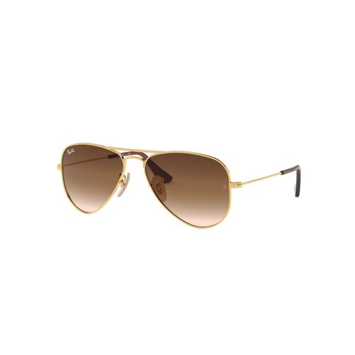 Ray-Ban Junior RJ956S 223/13-50 Aviator Gold / Brown Lenses