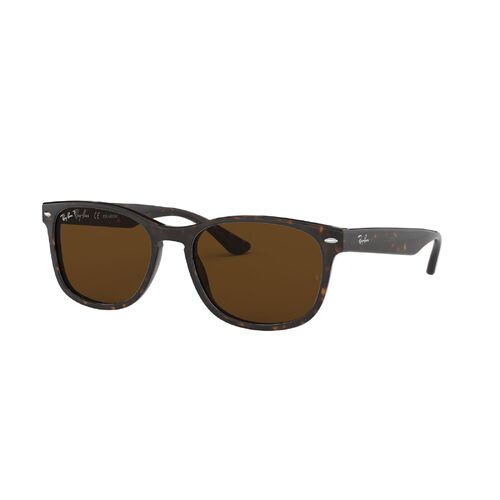 rb2184 polarized