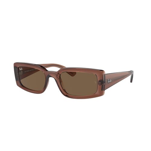 Ray-Ban RB4395 667873-54 Kiliane Transparent Brown / Dark Brown Lenses