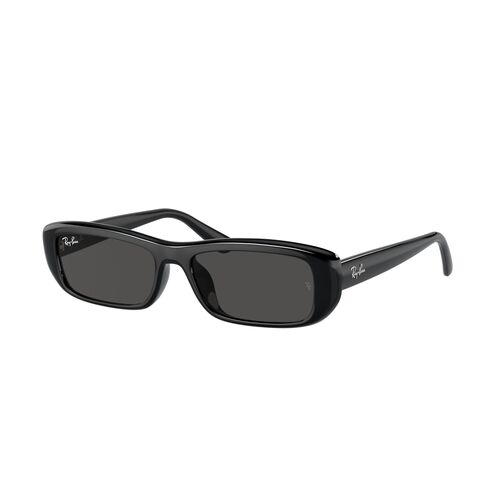 Ray-Ban RB4436D 667787-55 Black / Dark Grey Lenses