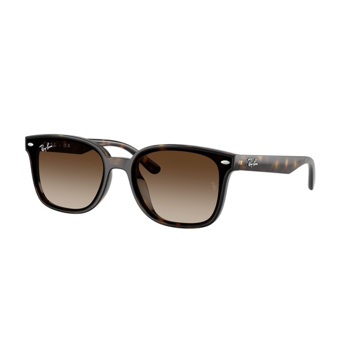 Ray-Ban RB4461D 710/13-64 Havana / Brown Gradient Lenses