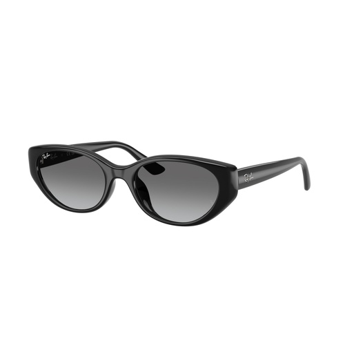 Ray-Ban RB4457D 667711-55 Black / Grey Gradient Lenses