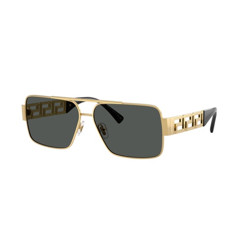 Versace VE2290 100287-61 Gold / Dark Grey Lenses