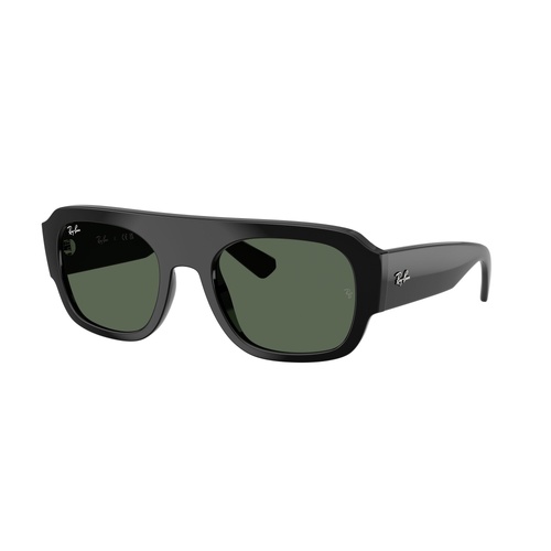 Ray-Ban RB2218 667771-55 Black / Dark Green Lenses