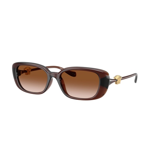 Versace VE4504D 533213-56 Transparent Brown / Brown Gradient Lenses