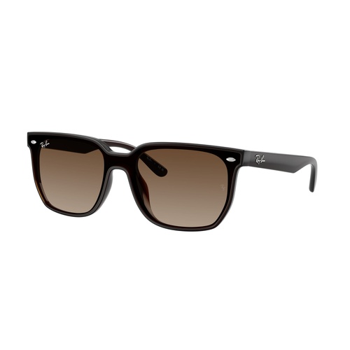 Ray-Ban RB4466D 714/13-47 Transparent Dark Brown / Brown Gradient Lenses
