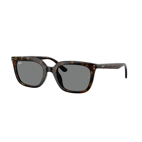 Ray-Ban RB4439D 710/87-54 Havana / Dark Grey Lenses