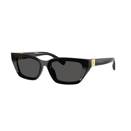 Dolce & Gabbana DG4532 501/87-53 Black / Dark Grey Lenses