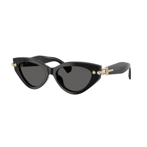 Tiffany & Co TF4268U 8001S4-53 Black / Dark Grey Lenses