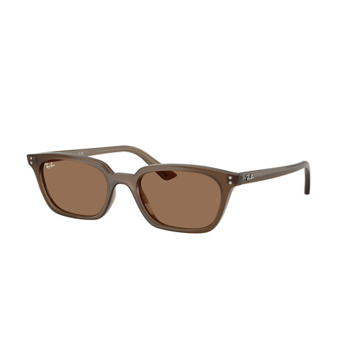 Ray-Ban RB4456 677973-53 Zaya Transparent Brown / Dark Brown Lenses