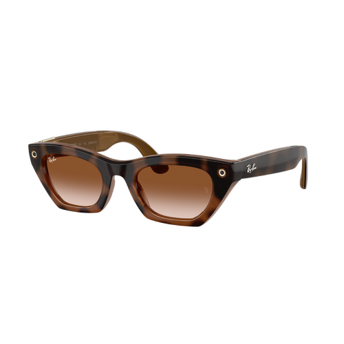 Ray-Ban x Meta (Gen 3) Zena RW4015 690513-49 Havana / Brown Gradient Lenses