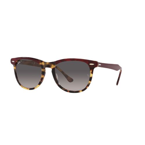 Ray-Ban RB2398 1377M3-53 Eagleeye Bordeaux On Yellow Havana / Grey Polarised Lenses