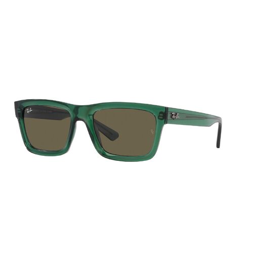 Ray-Ban RB4396 6681/3-54 Warren Transparent Green / Brown Lenses