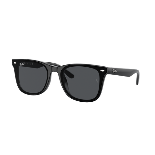 Ray-Ban RB4420 601/87-65 Black / Dark Grey Lenses