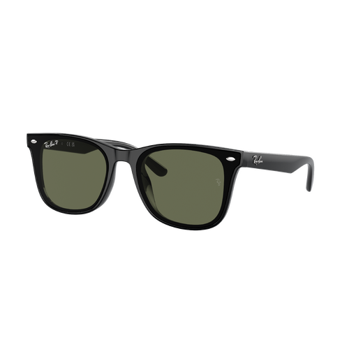 Ray-Ban RB4420 601/9A-65 Black / Dark Green Polarised Lenses