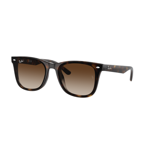 Ray-Ban RB4420 710/13-65 Havana / Brown Lenses