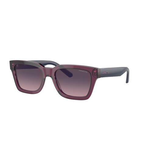 Arnette Cold Heart 2.0 AN4334 1244H9-53 Transparent Burgundy / Rose Gradient Grey Mirror Blue Lenses